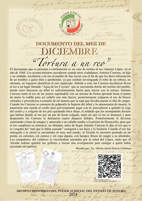 Articulo Diciembre 2024